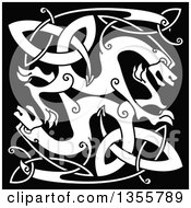 Poster, Art Print Of White Celtic Knot Dragons On Black