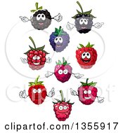 Cartoon Blackberry And Raspberry Characters