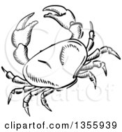 Clipart Of A Black And White Sketched Crab Royalty Free Vector Illustration