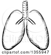 Clipart Of Black And White Sketched Human Lungs Royalty Free Vector Illustration
