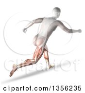3d Anatomical Man With Visible Leg Muscles Running On A White Background