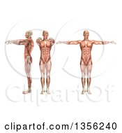 3d Anatomical Man With Visible Muscles Showing Shoulder Abduction And Horizontal Abduction On A White Background