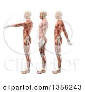3d Anatomical Man With Visible Muscles Showing Shoulder Flexion Extension And Hyperextension On A White Background