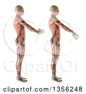 3d Anatomical Man With Visible Muscles Showing Wrist Radial Deviation And Ulnar Deviation On A White Background