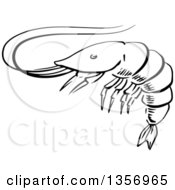 Clipart Of A Black And White Sketched Shrimp Royalty Free Vector Illustration