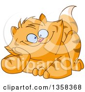 Clipart Of A Cartoon Fat Ginger Tabby Cat Scheming Royalty Free Vector Illustration by yayayoyo
