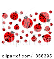 Poster, Art Print Of Background Of A Ladybugs And Shadows On White