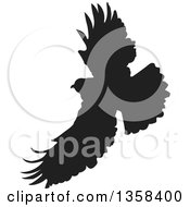 Poster, Art Print Of Black Silhouetted Eagle In Flight