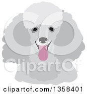 Poster, Art Print Of Happy Gray Panting Toy Poodle Dog