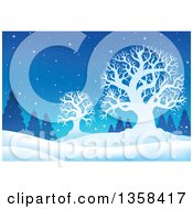Poster, Art Print Of Snowy Winter Night Background With Silhouetted Bare Trees And Evergreens