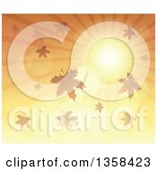 Poster, Art Print Of Background Of A Golden Sunset Sun Shining In The Sky With Autumn Leaves