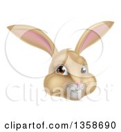 Poster, Art Print Of Happy Tan Easter Bunny Rabbit Face