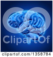 3d Human Brain Over Blue