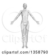 Clipart Of A 3d Grayscale Anatomical Woman Standing With Visible Skeleton On White Royalty Free Illustration