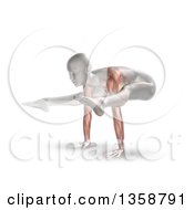 Poster, Art Print Of 3d Anatomical Woman Stretching Balanced On Her Hands In A Yoga Pose With Visible Arm Muscles On White