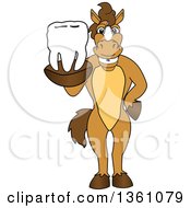 Poster, Art Print Of Horse Colt Bronco Stallion Or Mustang School Mascot Character Holding A Tooth