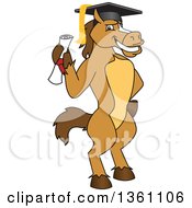 Horse Colt Bronco Stallion Or Mustang School Mascot Character Student Graduate Holding A Diploma