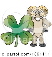 Clipart Of A Ram School Mascot Character Posing With A St Patricks Day Four Leaf Clover Royalty Free Vector Illustration