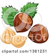 Poster, Art Print Of Cartoon Hazelnuts And Leaves