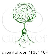 Clipart Of A Green Tree With Light Bulb Roots And A Brain Canopy Royalty Free Vector Illustration