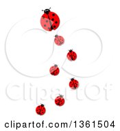 Poster, Art Print Of Big Ladybug And Trail Of Followers On A White Background