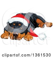 Cute Christmas Rottweiler Dog Resting His Head Between His Paws And Wearing A Santa Hat
