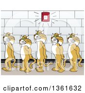 Poster, Art Print Of Bobcat School Mascot Characters Walking In Line In A Hallway As A Fire Alarm Goes Off Symbolizing Safety