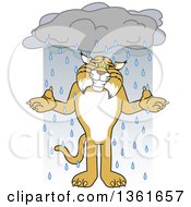 Poster, Art Print Of Bobcat School Mascot Character Shrugging In The Rain Symbolizing Acceptance
