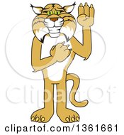 Clipart Of A Bobcat School Mascot Character Pledging Symbolizing Integrity Royalty Free Vector Illustration