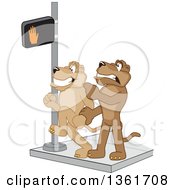 Clipart Of A Cougar School Mascot Character Stopping Another From Using A Crosswalk At The Wrong Time Symbolizing Safety Royalty Free Vector Illustration