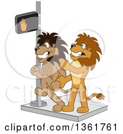 Clipart Of A Lion School Mascot Character Stopping Another From Using A Crosswalk At The Wrong Time Symbolizing Safety Royalty Free Vector Illustration