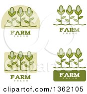 Clipart Of Green Farm Fresh Corn Icons Royalty Free Vector Illustration by Cory Thoman