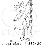 Clipart Of A Cartoon Black And White Festive Moose Hanging Christmas Lights Royalty Free Vector Illustration