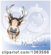 Cute Reindeer With Merry Christmas Text In The Snow