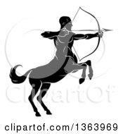 Black And White Centaur Archer Half Man Half Horse Aiming To The Right