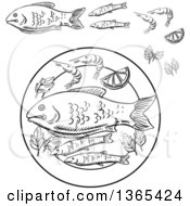 Clipart Of Black And White Sketched Seafood Fish And Shrimp Royalty Free Vector Illustration
