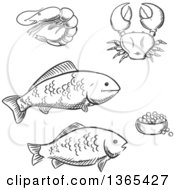 Clipart Of Black And White Sketched Seafood Fish Caviar Crab And Shrimp Royalty Free Vector Illustration