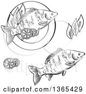 Poster, Art Print Of Black And White Sketched Seafood Fish