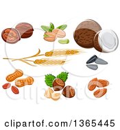Clipart Of Nuts Coconut And Wheat Royalty Free Vector Illustration