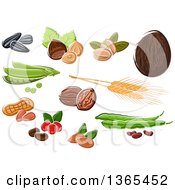 Clipart Of Nuts Seeds And Beans Royalty Free Vector Illustration