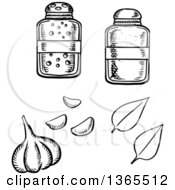 Poster, Art Print Of Black And White Sketched Garlic Bulb Basil Leaves Salt And Pepper Shakers