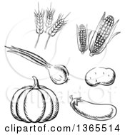 Poster, Art Print Of Black And White Sketched Vegetables And Wheat
