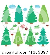 Conifer Evergreen Trees Clouds Mushrooms And Grass