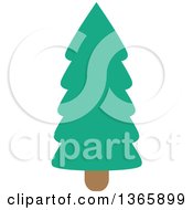 Poster, Art Print Of Conifer Evergreen Tree