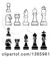 White And Black Chess Pieces