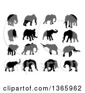 Poster, Art Print Of Black Silhouetted Elephants