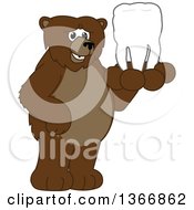 Poster, Art Print Of Grizzly Bear School Mascot Character Holding A Tooth