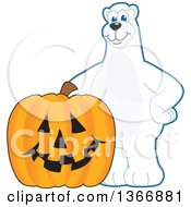 Polar Bear School Mascot Character With A Halloween Jackolantern Pumpkin
