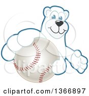 Polar Bear School Mascot Character Grabbing A Baseball