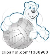 Polar Bear School Mascot Character Grabbing A Volleyball